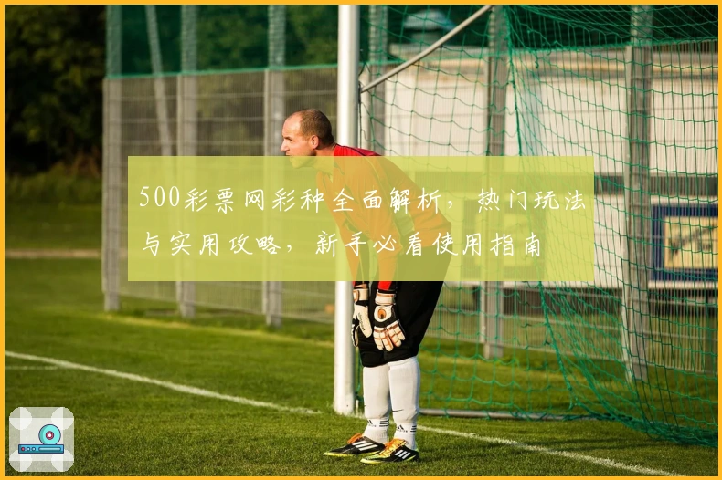 500彩票网彩种全面解析，热门玩法与实用攻略，新手必看使用指南
