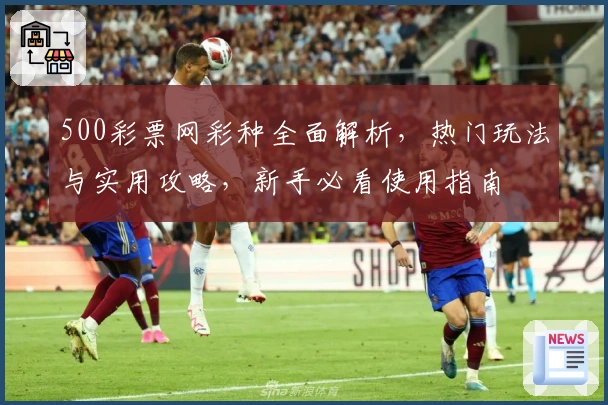 500彩票网彩种全面解析，热门玩法与实用攻略，新手必看使用指南
