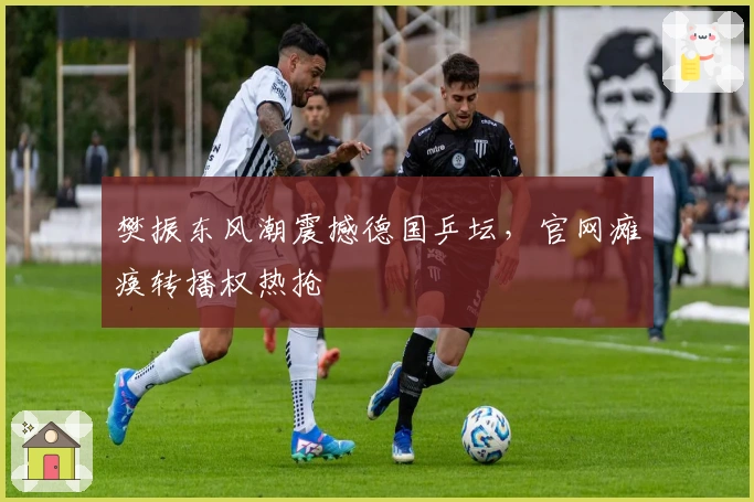 樊振东风潮震撼德国乒坛，官网瘫痪转播权热抢