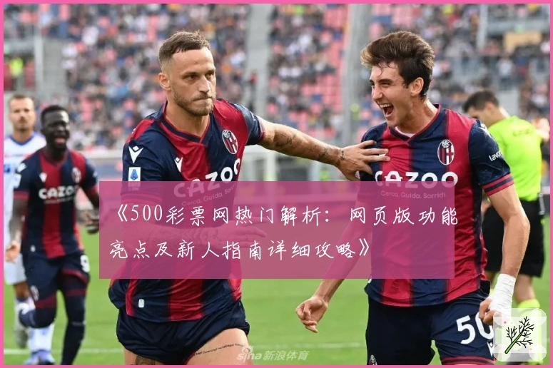 《500彩票网热门解析：网页版功能亮点及新人指南详细攻略》