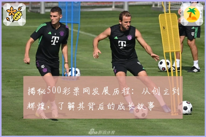 揭秘500彩票网发展历程：从创立到辉煌，了解其背后的成长故事